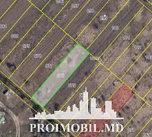 S pre vânzare se oferă teren cu destinație agricolă, situat la prima .