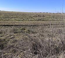 Продается земельный пай с чистым правовым статусом – все документы в .