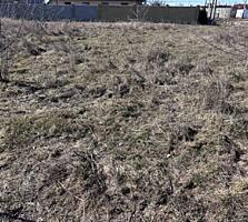 Предлагается к продаже фасадный земельный участок в ОГСТ «Маяк» – ...