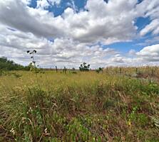 Продается земельный участок 8 сот. в курортном с. Каролино-Бугаз. ...