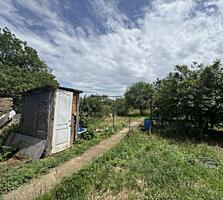 Прекрасный вариант для тех, кто ищет уютный дом с большим участком ...