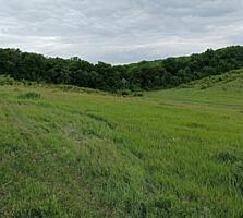 Село Иванча 25 соток