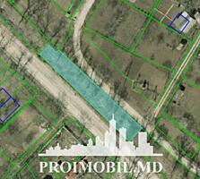 Spre vânzare se oferă teren pomicol, situat în Dumbrava.Suprafața ...