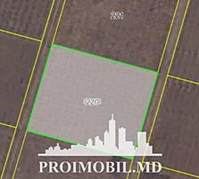 Spre vânzare se oferă teren pentru grădină, situat în com. Budești. ..