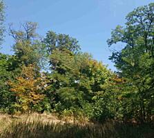 Продам участок на Гребном Канале. 3 сотки правильной формы. Фасад ...