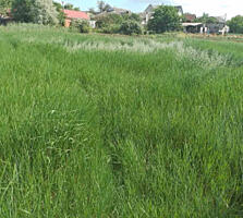 Предлагается к продаже участок 10 соток в центре Нерубайского