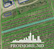 Se oferă spre vânzare teren agricol situat în Colonița, cu suprafața .