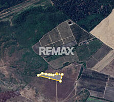 Teren Agricol Țânțăreni