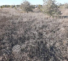 Предлагается к продаже земельный  участок 5 соток с электричеством и .