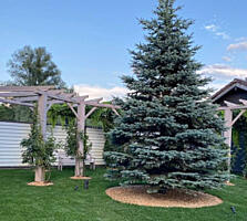 Продам 4 сотки земли на Даче Ковалевского, ул. М. Демченко