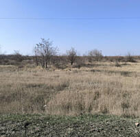 Продается земельный участок в Дачном