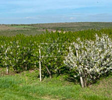 Se propune spre vânzare casă, gata  de  locuit, în satul Horesti, r-l 