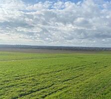 В продаже участок вблизи Сухого Лимана. До лимана 5 минут. Чудесный ..