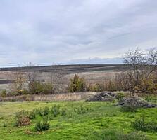 Teren 10 ari Cruzesti