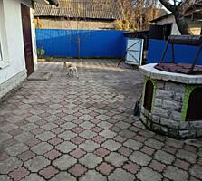 Se vinde casă în centru oraşului.