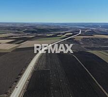 Teren 204 Ari prima linie a traseului M3 Chișinău–Cimișlia