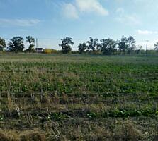 Предлагается к продаже участок в Фонтанке, новая нарезка. Локация ...