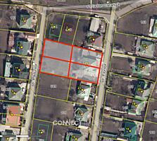 Str. Florilor, Tohatin, Chișinău