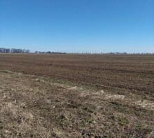 Продам земельный участок 10 соток. Участок рассположен между ...