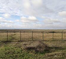 Предлагается к продаже земельный участок в Сычавском сельсовете ...