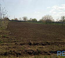 Усатово-1, 16,5 соток