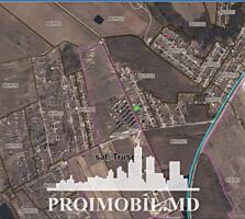 Spre vânzare se oferă teren agricol, situat în Trușeni, I.P. Poleana. 