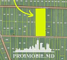 Spre vânzare se oferă teren pentru construcții, situat în Băcioi. ...
