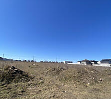 Продажа Земля под жилое строительство 168 соток Червоный хутор, Одесса