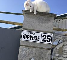 СОБСТВЕННИК. Продаю дом с. Карагаш.