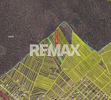 Teren de vânzare – 35 ari, lângă Codrii Moldovei, satul Malcoci