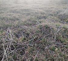 В продаже земельный участок для индивидуального садоводства, ...