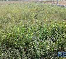 Продается необычный участок с. Нерубвйское.