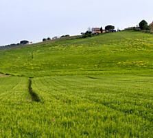 В продаже участок с застроенным цоколем,близость города и 7 км.!