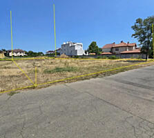 Участок 12,5 соток Совиньон-1