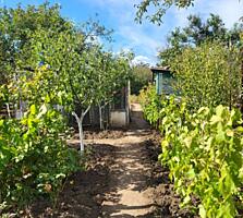 Продаётся дача на полигоне