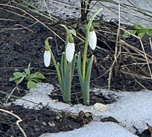 Продается участок в Тирасполе