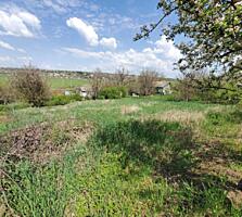 Doua loturi de pământ 12,5 ari