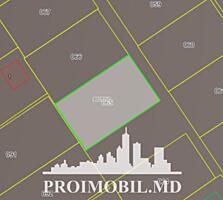 Spre vînzare se oferă teren pentruconstrucțiesituat în Trușeni, str. .