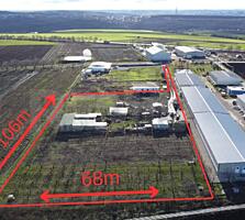 Teren Agricol, 75 ari, la șoseaua M14, 10 km de Chișinău