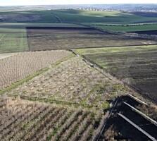 Teren Agricol, 1.14 ha, 10 km de Chișinău