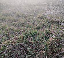 В продаже земельный участок для ведения садоводства, расположенный в .