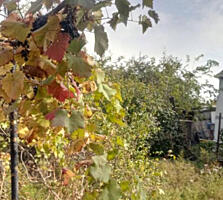 Продажа участка в с. Нерубайском