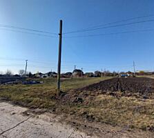 Vind cota de teren, în Ocnița