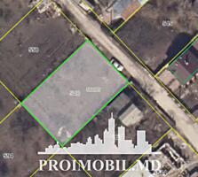 Spre vânzare se oferă teren pomicol, situat în or. Ialoveni. ...