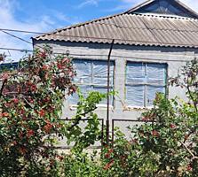 Продается дом, с. Дачное