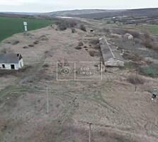 Se oferă spre vânzare fermă pentru animale în raionul Anenii Noi. – ..