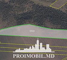 S pre vânzare se oferă teren agricol, situat în Colonița. Suprafața ..