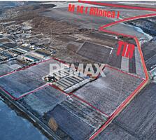 Investiție agricolă, Anenii Noi