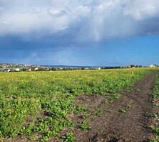 Предлагается к продаже ровный земельный участок в Вапнярке. Общая ...