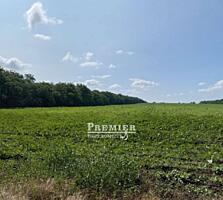 Предлагаемый к продаже земельный участок №15 общей площадью 1,6015 ...